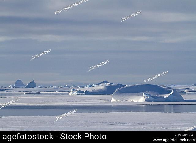 icebergs and ice floes in winter waters of the Antarctic Peninsula