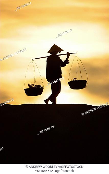 Woman with conical hat carries pannier baskets along crest of sand dune in sunrise near Mui Ne Vietnam