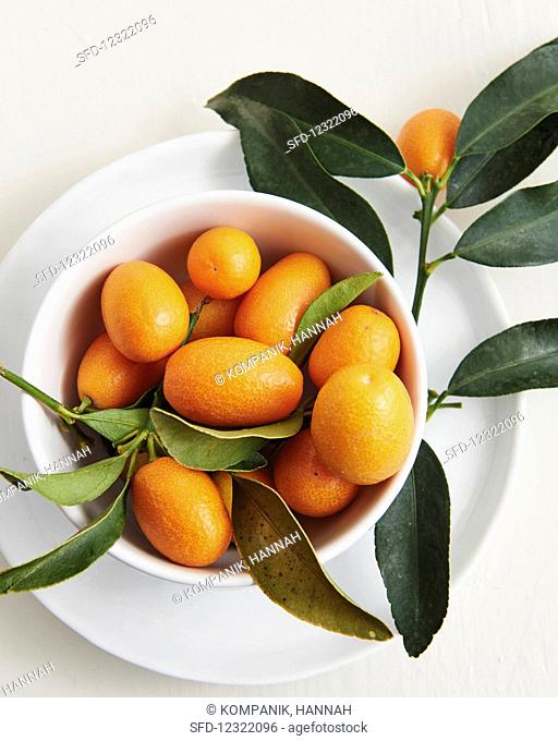 Kumquats with leaves in a porcelain bowl