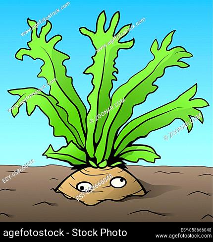 Root vegetable strange arms funny cartoon color drawing, vector illustration, horizontal