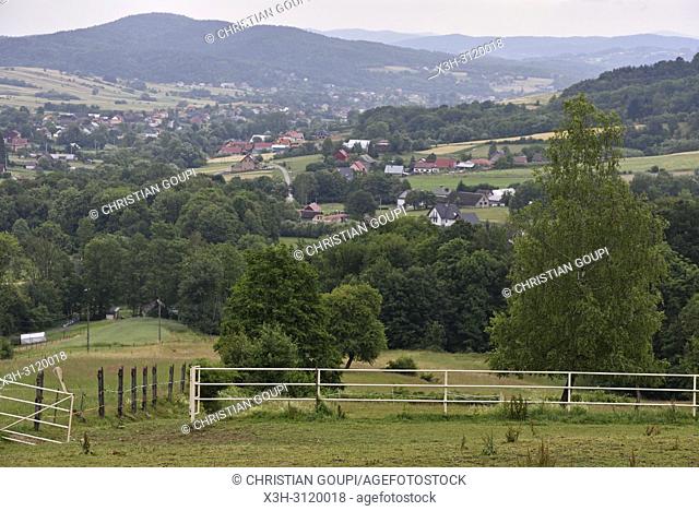 countryside around Iwkowa village, Brzesko county, Malopolska Province (Lesser Poland), Poland, Central Europe