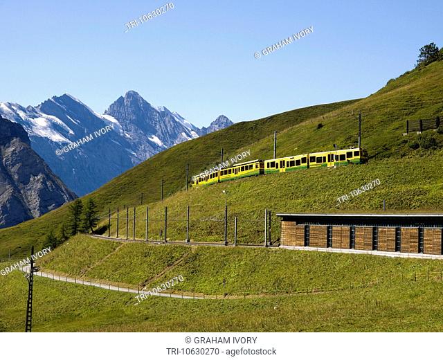 Wengenalpbahn train approaching Kleine Sheidegg from Wengen, Bernese Oberland, Switzerland