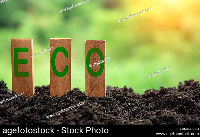 Wooden sticks stacked with ECO concept lettering on nature background. concept of future business growth for the environment
