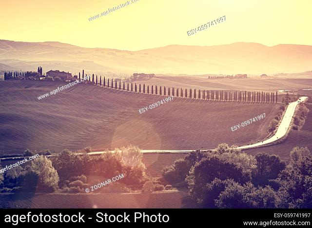Tuscany fields and valleys autumn landscape, Italy. Cypress trees road to a traditional farm in the background. Sunset, vintage light with sun flare