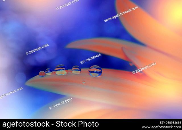 Beautiful Nature Background.Floral Art Design.Abstract Macro Photography.Gerbera Daisy Flower.Pastel Flowers.Blue Background