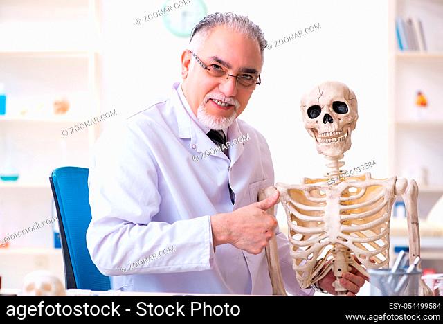 The aged male doctor with skeleton
