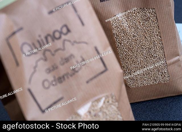 31 August 2021, Hessen, Ober-Ramstadt: Packets of quinoa from the Odenwald stand on a table. The pseudo grain quinoa belongs to the foxtail family and is...