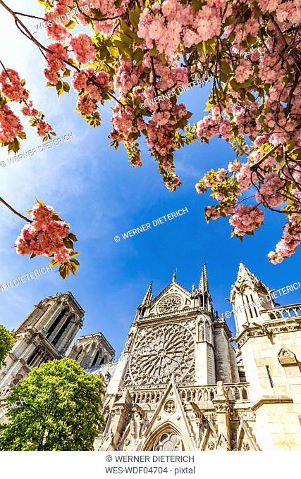 France, Paris, Notre Dame church in spring