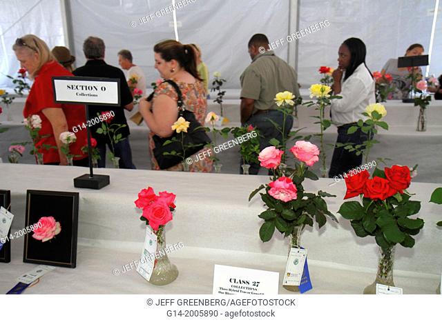 Georgia, Thomasville, downtown, South Broad Street, Rose Show & Festival, display, judging, tent, pavilion, prize roses,