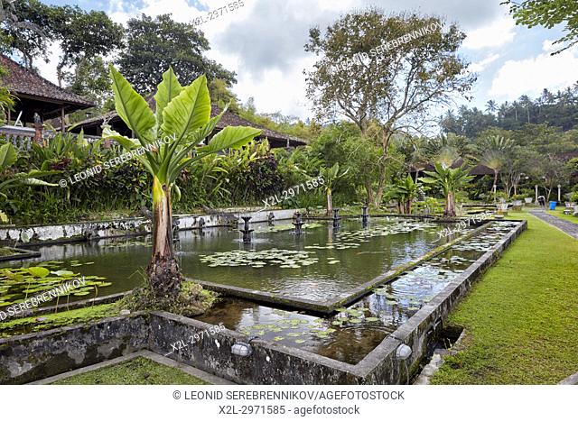 Garden at the Tirta Gangga water palace, a former royal palace. Karangasem regency, Bali, Indonesia