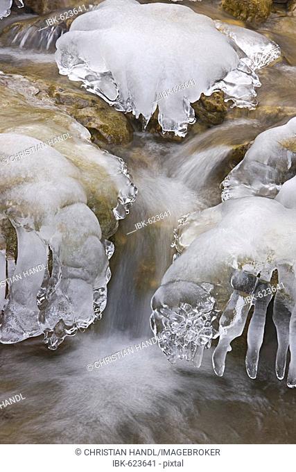 Ice formations along a stream in Steinwandklamm Ravine, Lower Austria, Austria, Europe