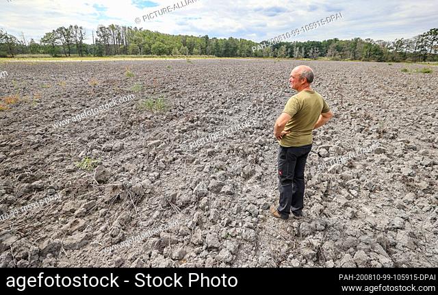 24 July 2020, Saxony, Bennewitz: An employee of Teichwirtschaft Wermsdorf GmbH stands in the dried out Königsteich of the Bennewitz pond group