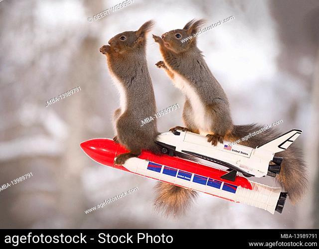 red squirrels on an rocket with Space Shuttle
