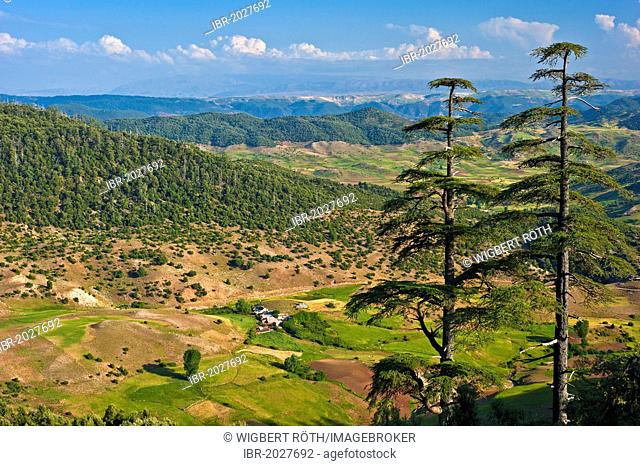 Mountain landscape with cedars and small settlements, Middle Atlas Mountains, Morocco, Africa