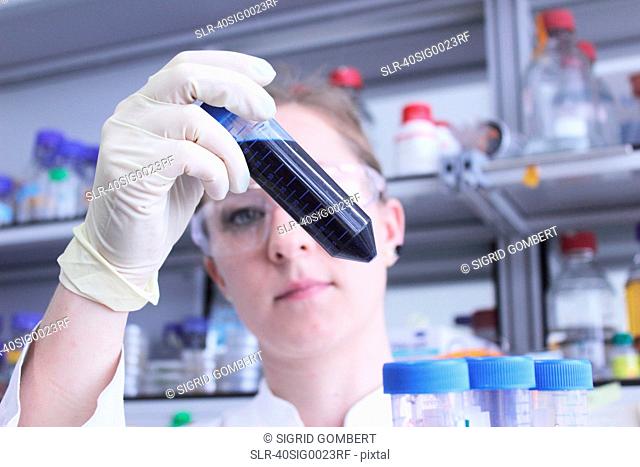 Scientist examining test tube of liquid