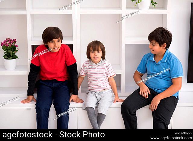 happy young boys are having fun while posing on a shelf in a new modern home