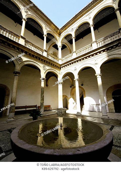 University. ancient Royal Hospital. Granada. Andalusia. Spain