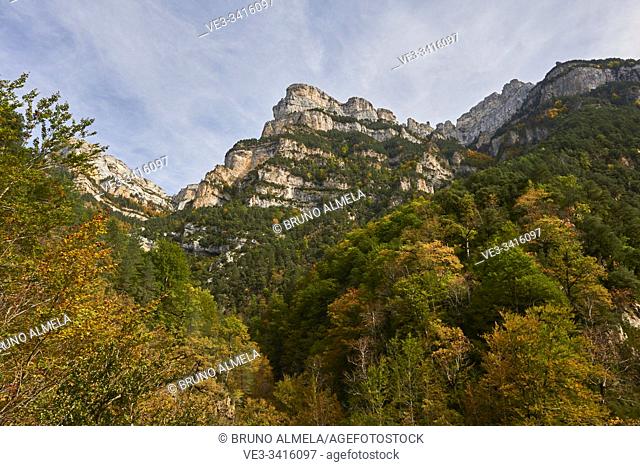 Autumn colors of pyrenean forest in Añisclo Canyon, Ordesa and Monte Perdido National Park, Huesca province, Aragon (Spain)