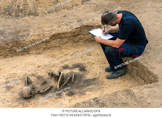 11 July 2019, Saxony-Anhalt, Pömmelte: The archaeologist Tim Grüne documents a grave from the Early Bronze Age in which the skeleton of a human being lies