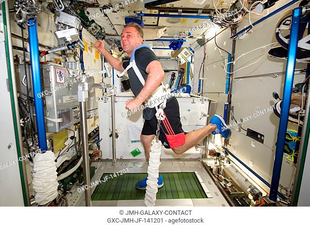 Russian cosmonaut Maxim Suraev, Expedition 41 commander, equipped with a bungee harness, exercises on the Combined Operational Load Bearing External Resistance...