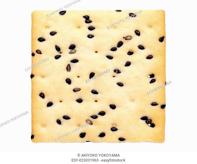 cracker with sesame on white background