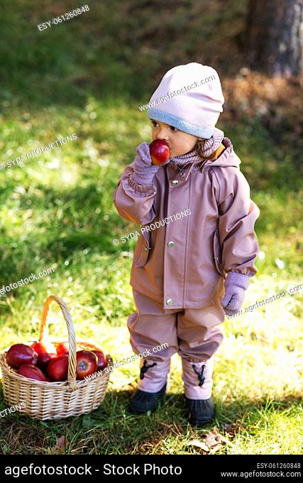 little baby girl with basket of apples at park