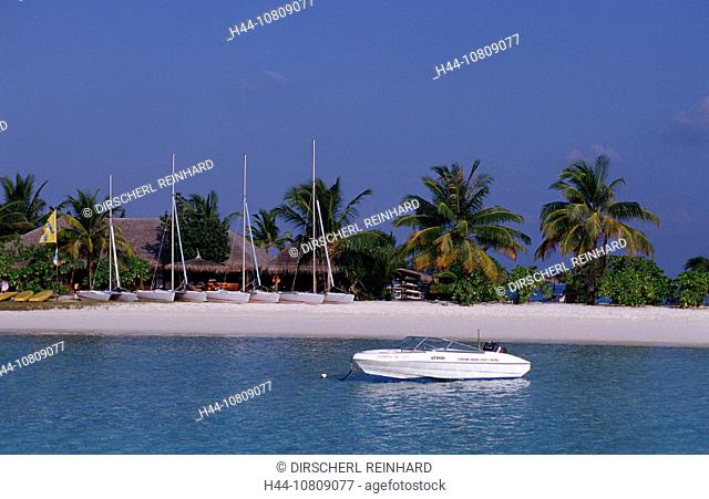 action, Ari Atoll, beach, diving, holiday, holidays, Indian ocean, live, Maldives island, Maldives Islands, marine