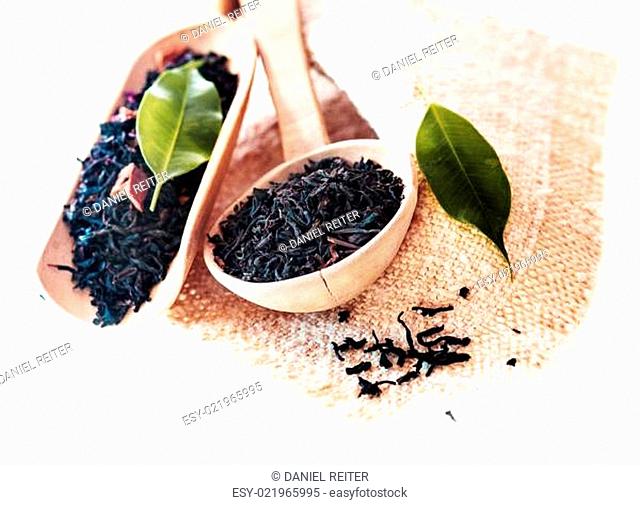 Fresh organic tea leaves in wooden spoons