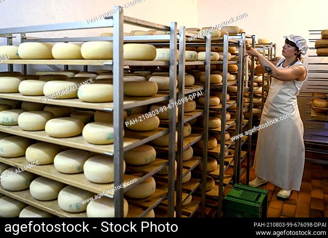 30 July 2021, Brandenburg, Flatow: Farmer Sarah Spindler turns the cheese in the ripening room of the Karolinenhof goat dairy near Kremmen