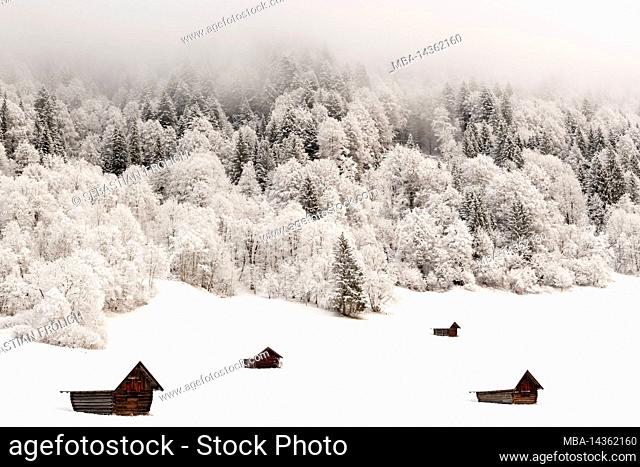 Haystack above Geroldsee near Garmisch-Partenkirchen with fresh snow in winter morning light