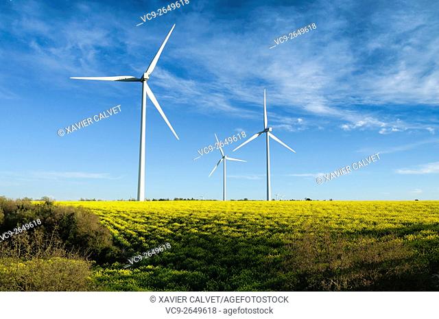 Wind turbines in a field and a blue sky with some clouds at background, near Barcelona, Spain