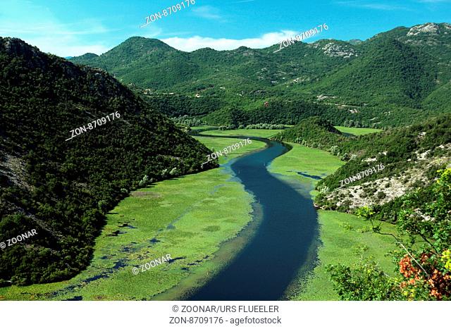 the river Rijeka Crnojevica at the west end of the Skadarsko Jezero Lake or Skadar Lake in Montenegro in the balkan in east europe