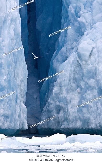 Views of the Monaco Glacier on the northern side of Spitsbergen in the Svalbard Archipelago, Norway