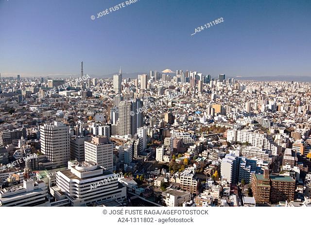 Tokyo City, Shinjuku District and Mount Fuji