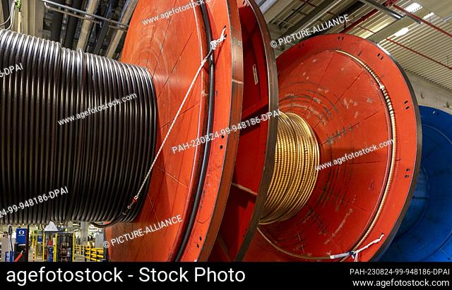 24 August 2023, North Rhine-Westphalia, Cologne: Cable drums with coiled sheathed and unsheathed copper cable lie in the production hall of NKT GmbH & Co KG