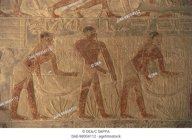 Egypt - Cairo - Ancient Memphis (UNESCO World Heritage List, 1979). Saqqara. Necropolis. Private funerary mastaba of Mereruka, 6th Dynasty, 2340 BC