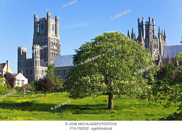 Cathedral, Ely, Cambridgeshire, England, UK