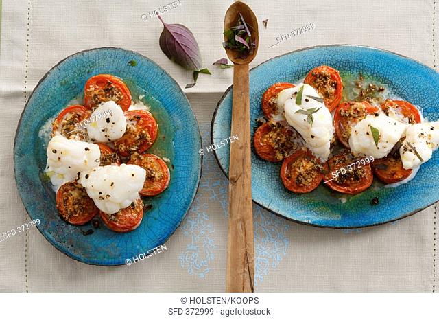 Oven-baked monkfish on gingered tomatoes