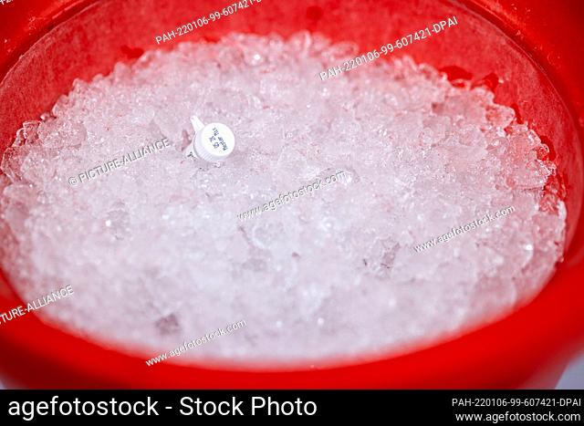 05 January 2022, Mecklenburg-Western Pomerania, Greifswald: A small tube of MasterMix is cooled in ice for studies of corona samples in the laboratory for...