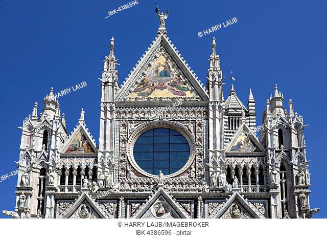 Siena Cathedral, Cattedrale di Santa Maria Assunta, bell tower, close-up, Siena, Province of Siena, Tuscany, Italy