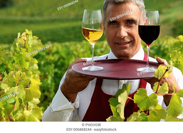 Sommelier with a glass each of red and white wines in a vineyard