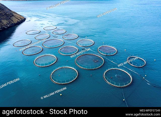 Salmon fish farm in ocean water near coast of Streymay Island