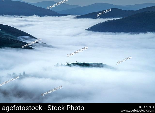 Fog in Orkhon river valley in the morning, Arkhangai province, Mongolia, Asia
