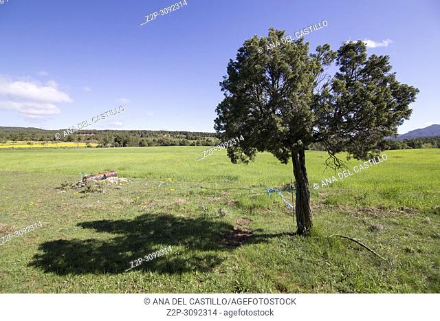 Spring landscape Matarrana county in. Teruel, Aragon, Spain