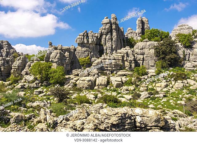 Torcal de Antequera, Erosion working on Jurassic limestones, Málaga province. Andalusia, Southern Spain Europe