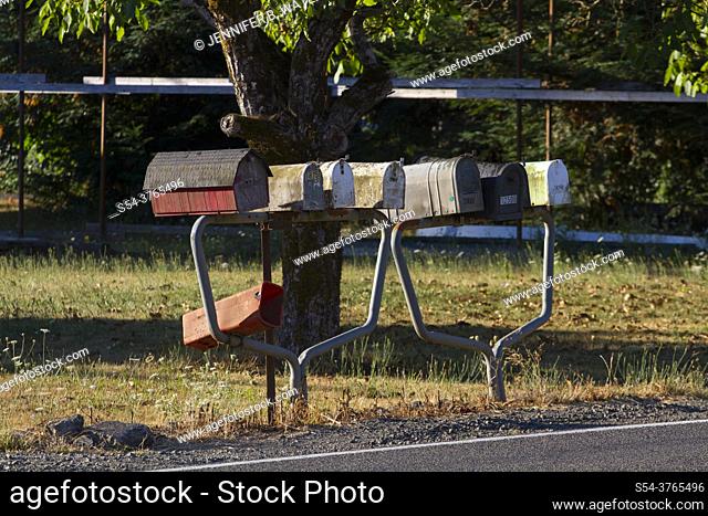Rural mailboxes in western Oregon, United States
