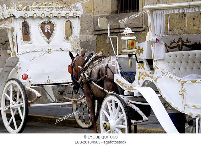 White and gold painted horse drawn tourist carriages queue in line on street