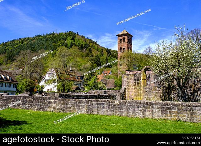 Hirsau Monastery, former monastery complex of St. Peter and Paul, Romanesque, near Calw, Black Forest, Baden-Württemberg, Germany, Europe
