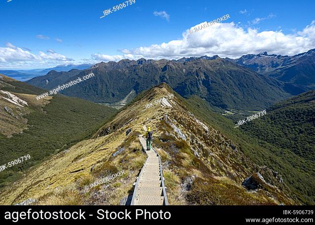 Hikers on Kepler Track, views of the Kepler Mountains, Great Walk, Fiordland National Park, Southland, New Zealand, Oceania