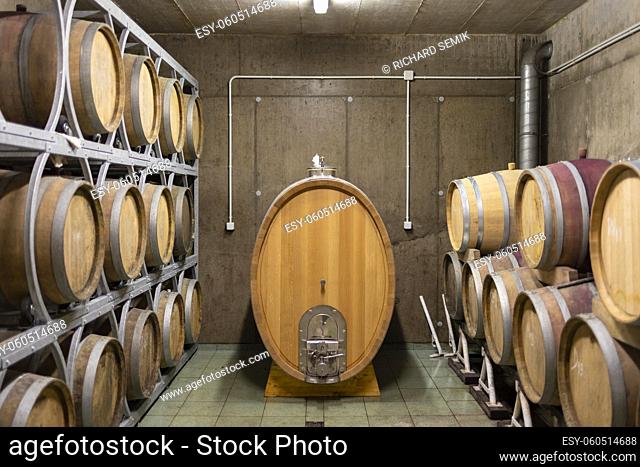 wooden oak barrels in a winery nearby Batorove Kosihy, Slovakia